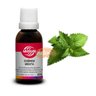 essencia menta 30ml 2